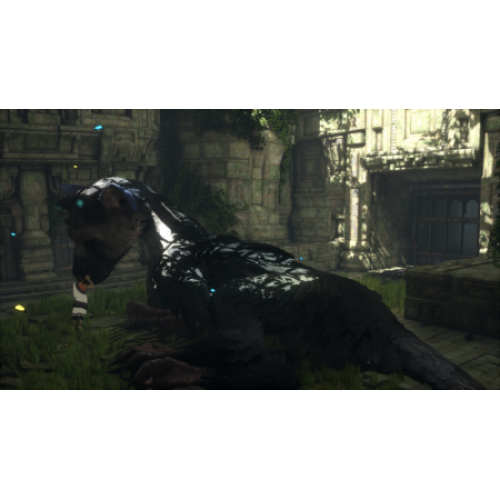 The Last Guardian (Последний хранитель) [PS4, русские субтитры] Trade-in / Б.У.