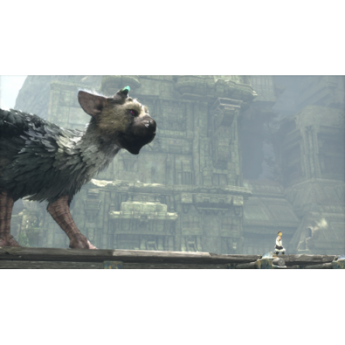 The Last Guardian (Последний хранитель) [PS4, русские субтитры] Trade-in / Б.У.
