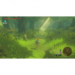 The Legend of Zelda: Breath of the Wild [Nintendo Switch 2, русская версия]