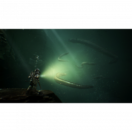 The Sinking City [PS4, английская версия]