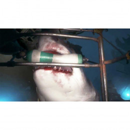 PlayStation VR Worlds [PS4, русская версия] Trade-in / Б.У.