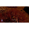 Velvet Assassin (X-BOX 360)