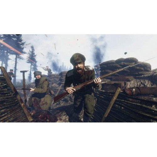 WWI Tannenberg: Eastern Front [PS4, английская версия]