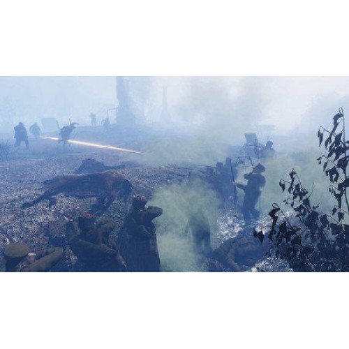WWI Tannenberg: Eastern Front [PS4, английская версия]