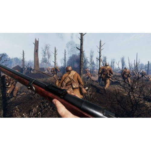 WWI Verdun: Western Front [PS4, английская версия]