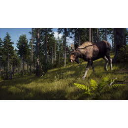 Way of the Hunter [PS5, русские субтитры] Trade-in / Б.У.