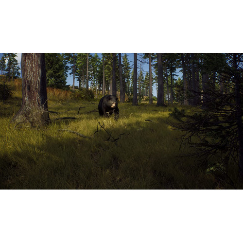Way of the Hunter [PS5, русские субтитры] Trade-in / Б.У.