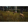 Way of the Hunter [PS5, русские субтитры] Trade-in / Б.У.