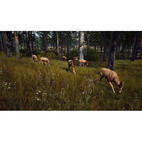 Way of the Hunter [PS5, русские субтитры] Trade-in / Б.У.