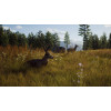 Way of the Hunter [PS5, русские субтитры] Trade-in / Б.У.