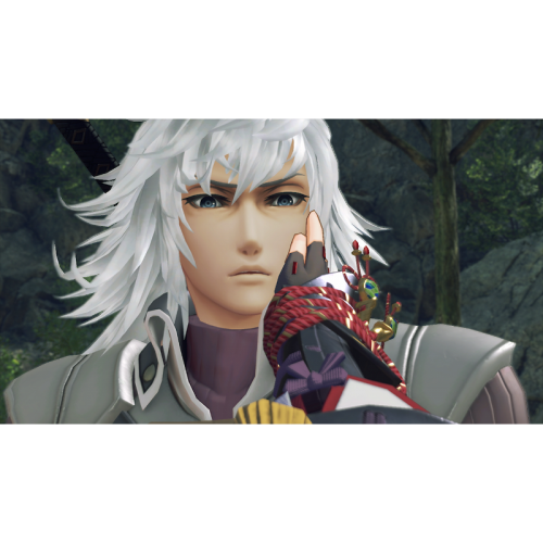 Xenoblade Chronicles 2: Torna - The Golden Country [Switch, английская версия]