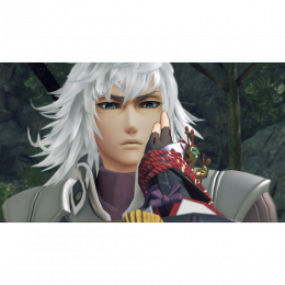 Xenoblade Chronicles 2: Torna - The Golden Country [Nintendo Switch, английская версия]