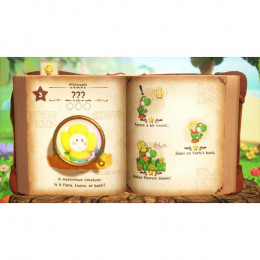 Yoshi and the Mysterious Book [Nintendo Switch 2, английская версия]