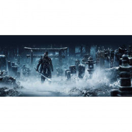 Призрак Цусимы - Режиссёрская версия [PS5, русская версия] Trade-in / Б.У.