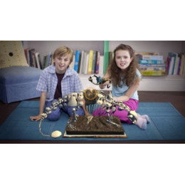 Wonderbook: Прогулки с динозаврами для PS Move [PS3, русская версия] Trade-in / Б.У.